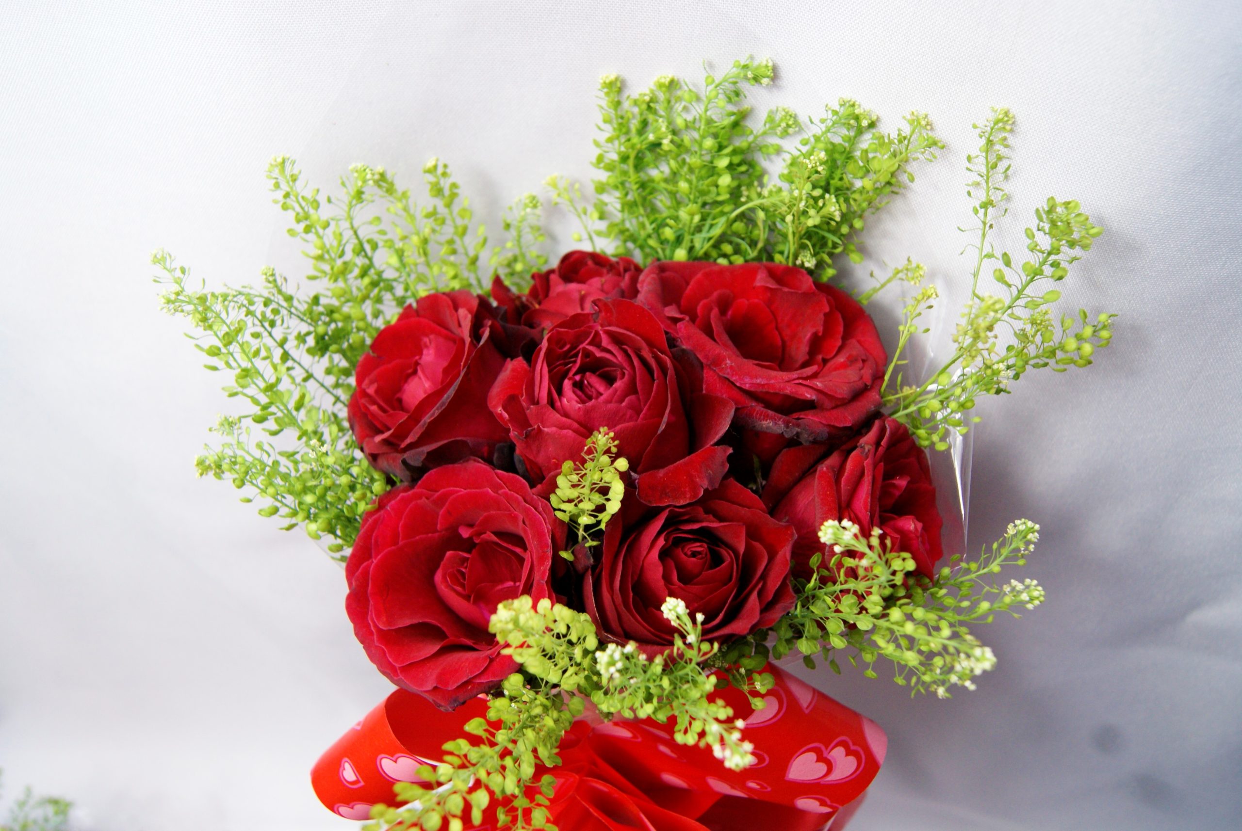 7) Roses Rouges - Amour & Passion - VILLA MAHEFA