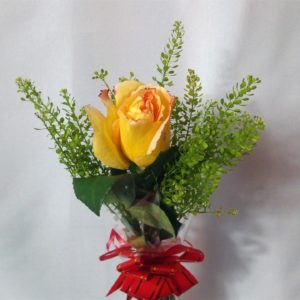 Fleurs