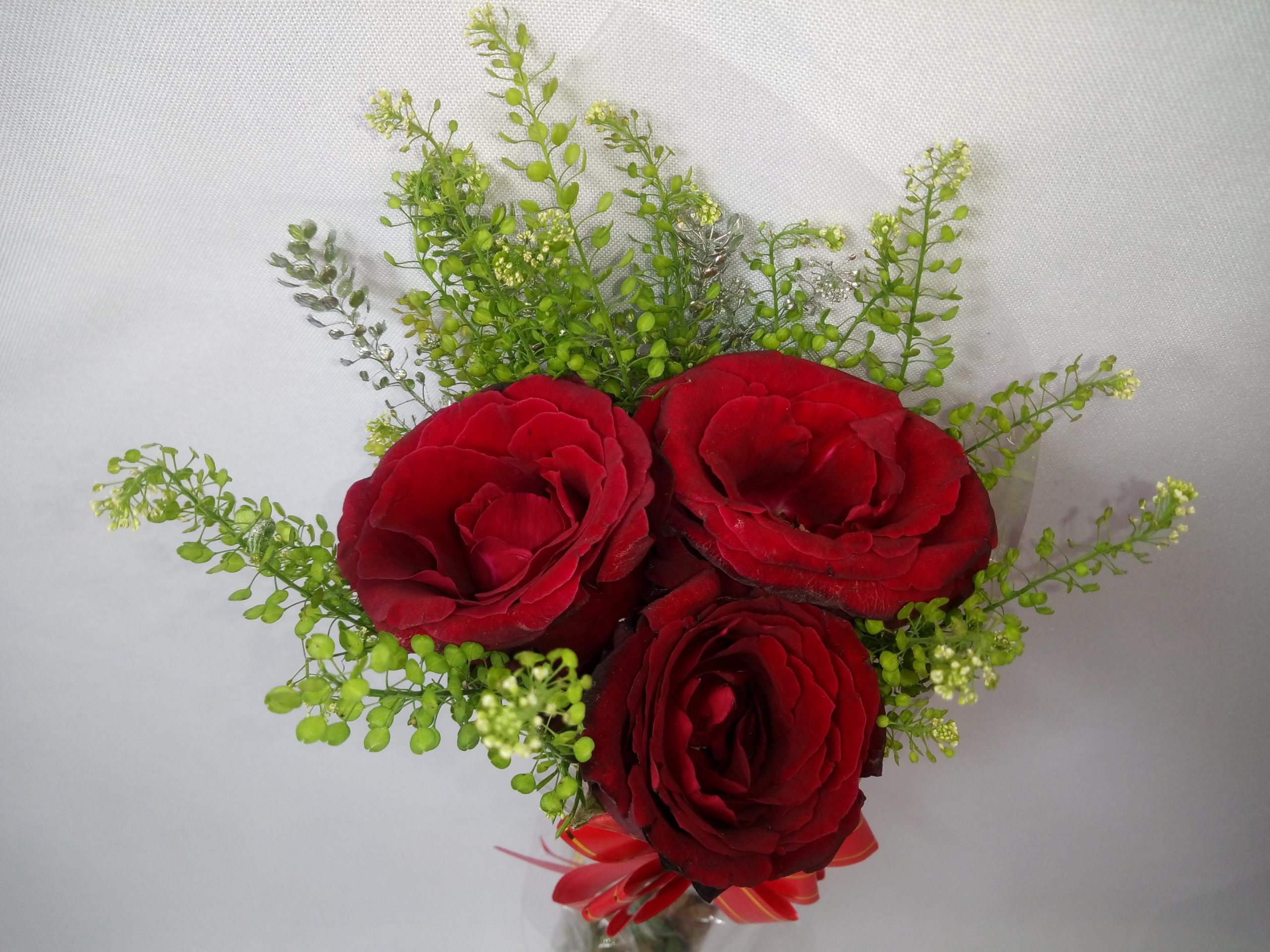 3) Roses Rouges - Amour & Passion - VILLA MAHEFA