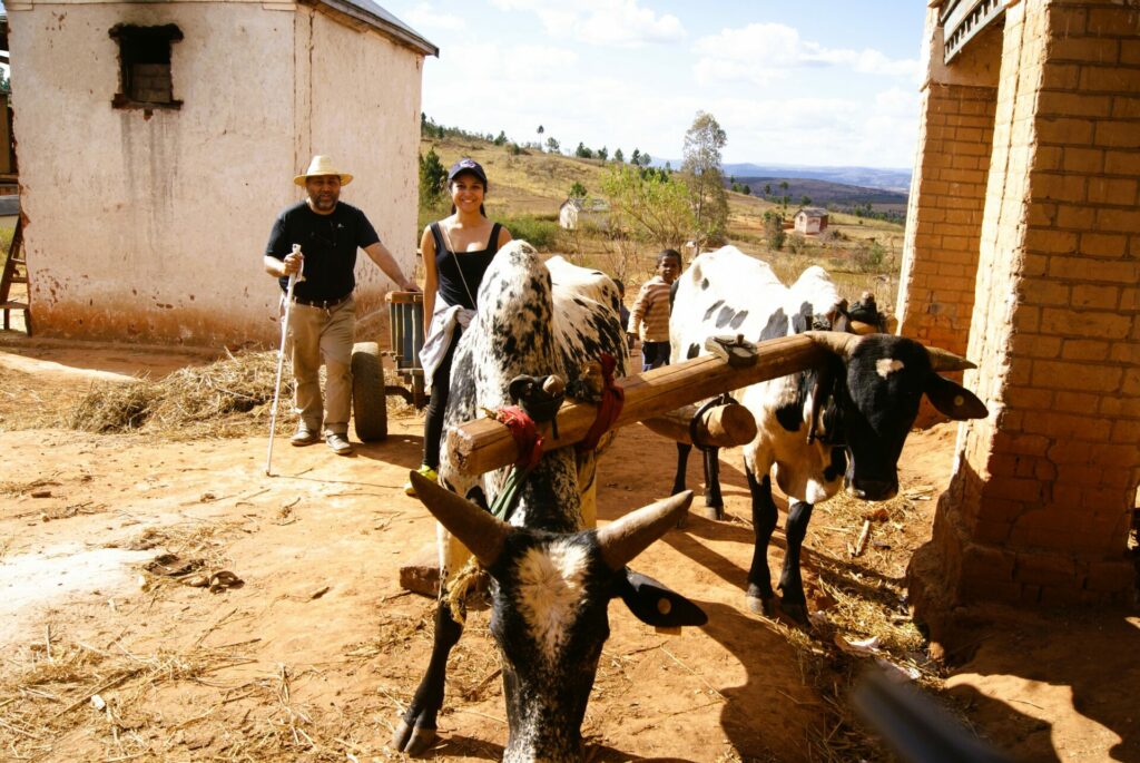 MONT IBITY - MADAGASCAR