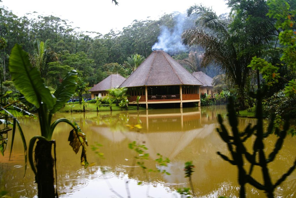 ANDASIBE - MADAGASCAR