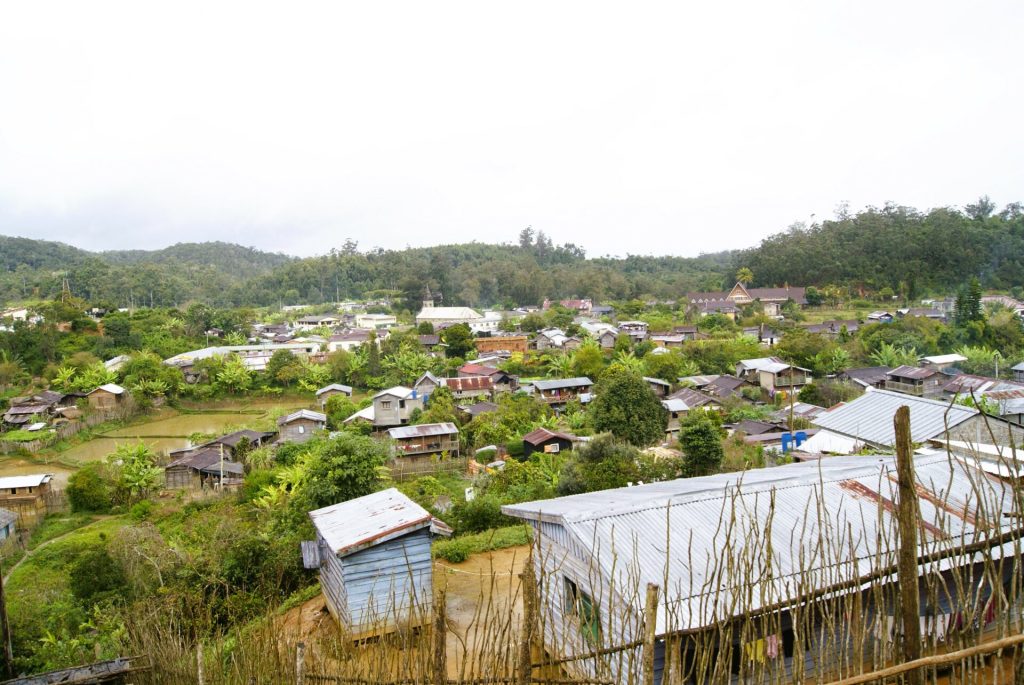 ANDASIBE - MADAGASCAR