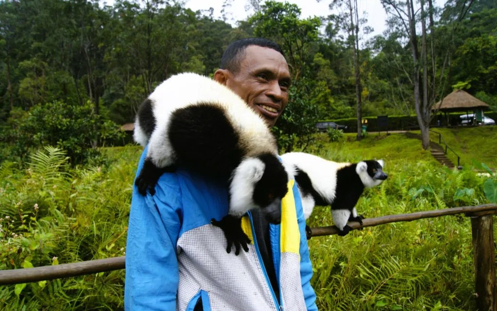 ANDASIBE - MADAGASCAR