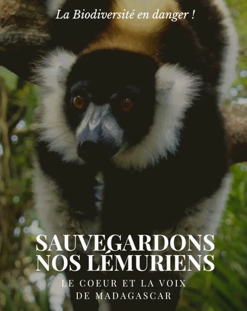 ANDASIBE - MADAGASCAR