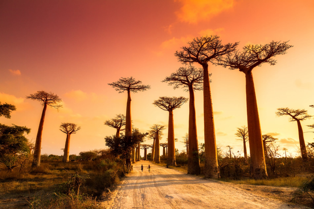 MORONDAVA - MADAGASCAR
