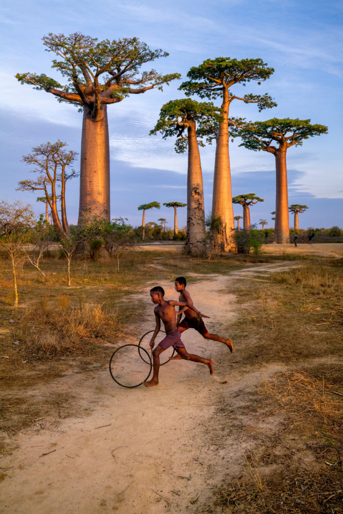 ALLÉE DES BAOBABS - MADAGASCAR