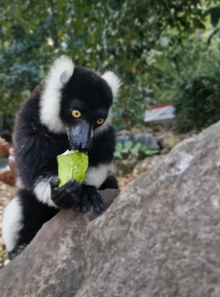 NOSY BE - MADAGASCAR