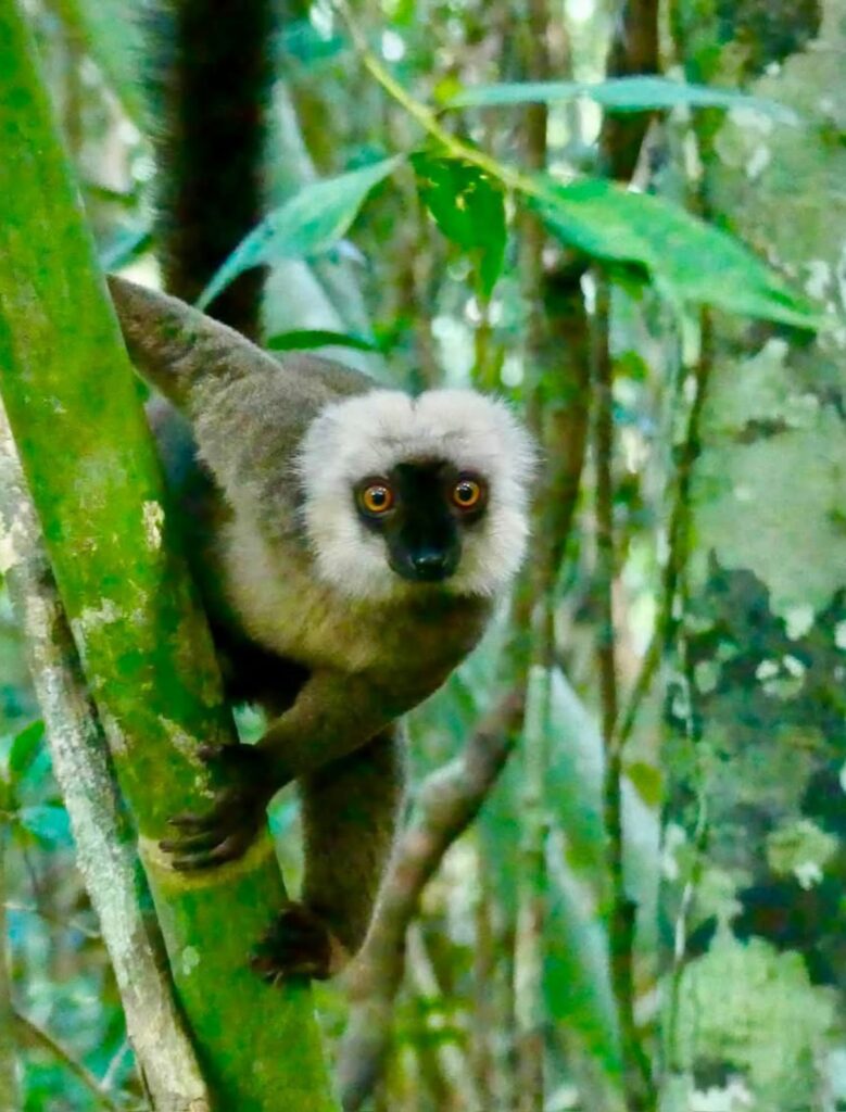 NOSY BE - MADAGASCAR