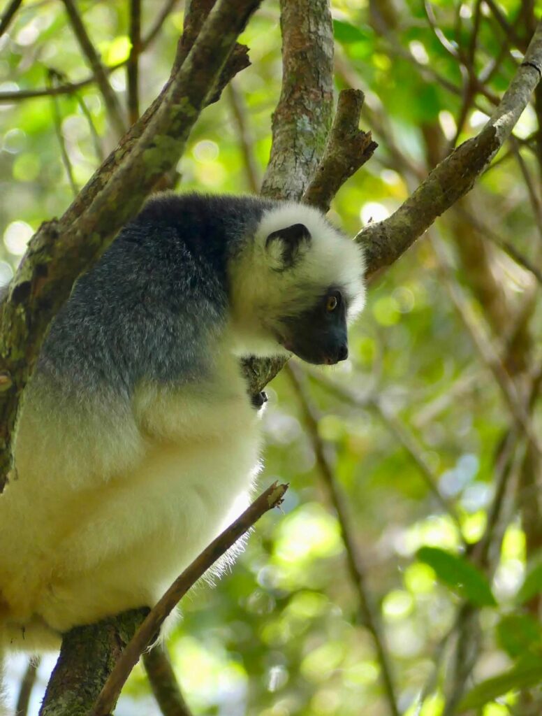 NOSY BE - MADAGASCAR