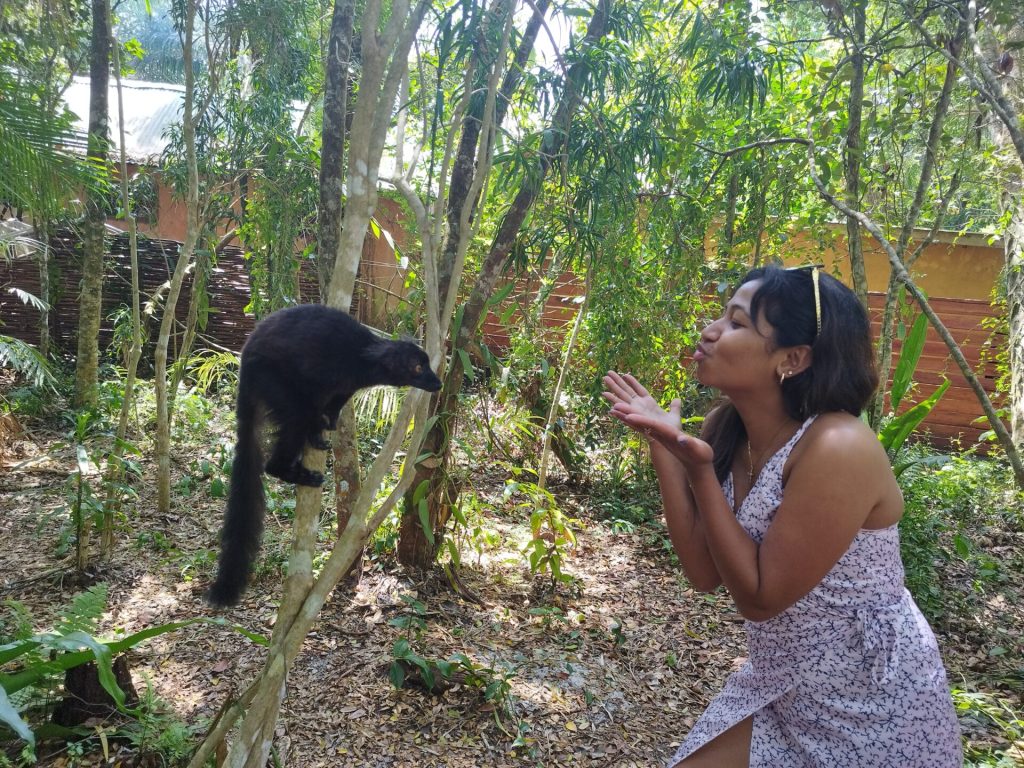 AKANIN'NY NOFY - MANAMBATO - MADAGASCAR